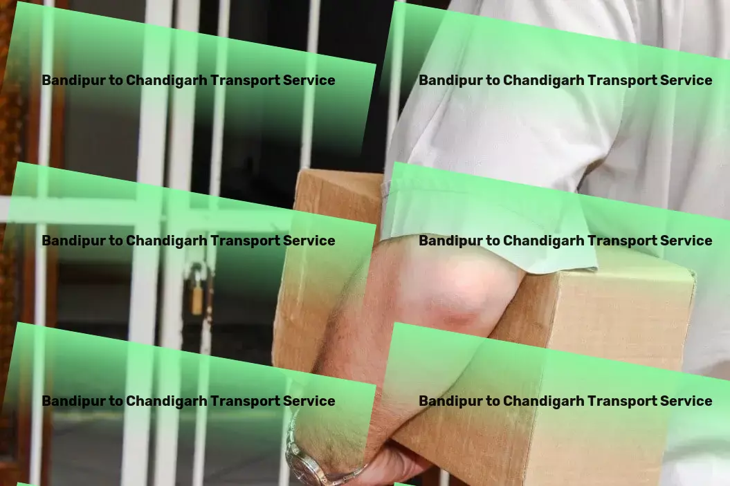 Bandipur to Chandigarh Transport Professional freight forwarding