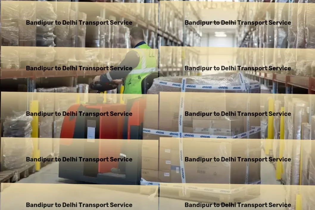 Bandipur to Delhi Transport Full-scale logistics solutions