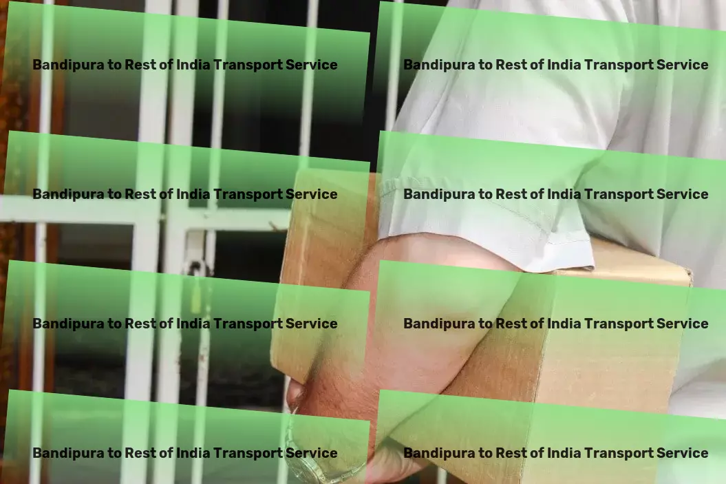 Bandipura to Rest Of India Transport Distribution services