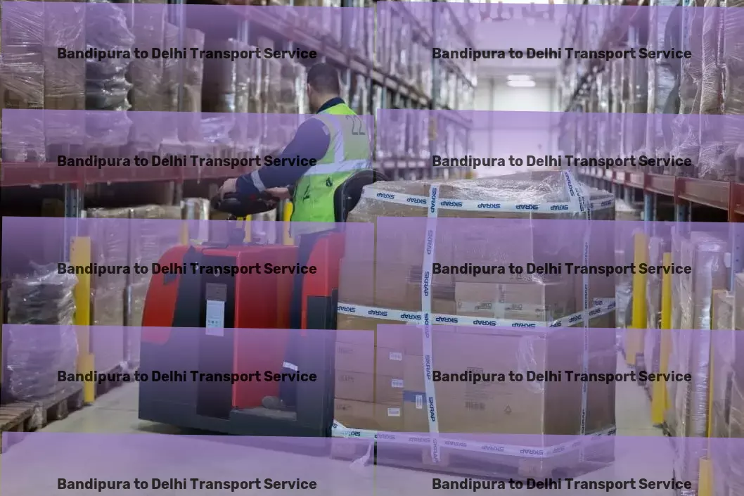 Bandipura to Delhi Transport Express transport solutions