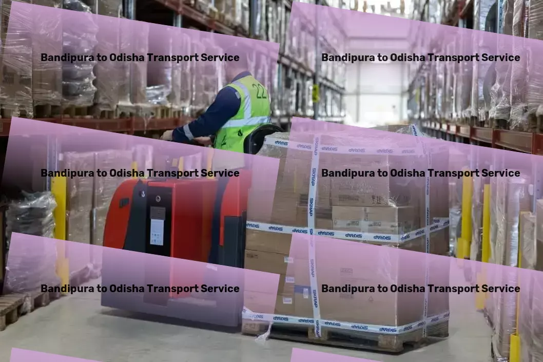 Bandipura to Odisha Transport Professional goods logistics