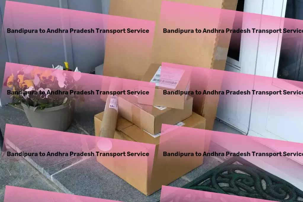 Bandipura to Andhra Pradesh Transport Customized freight services