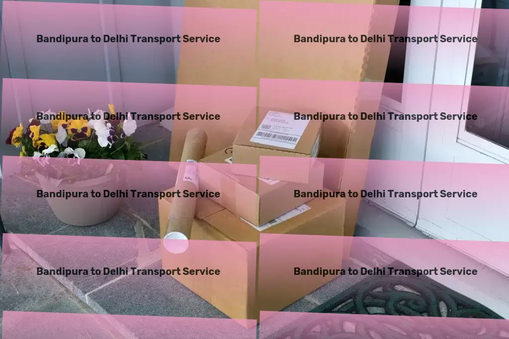 Bandipura to Delhi Transport Rapid goods shipment services