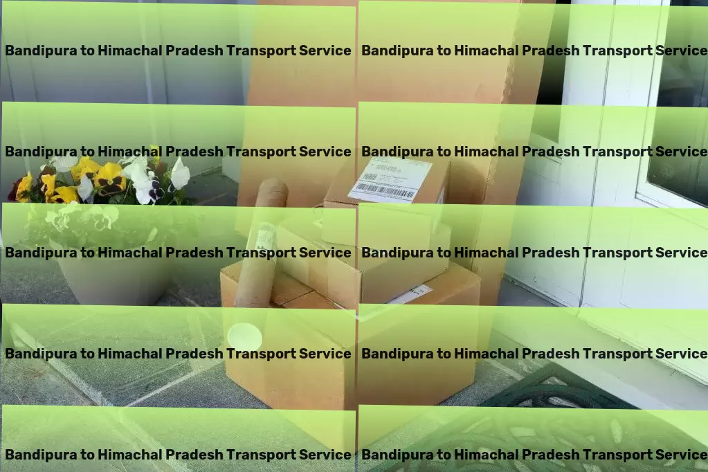 Bandipura to Himachal Pradesh Transport Custom transport solutions