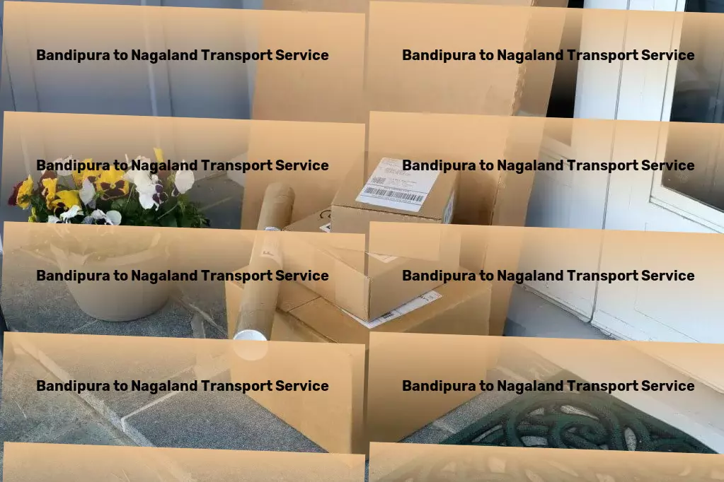 Bandipura to Nagaland Transport Specialized cargo logistics