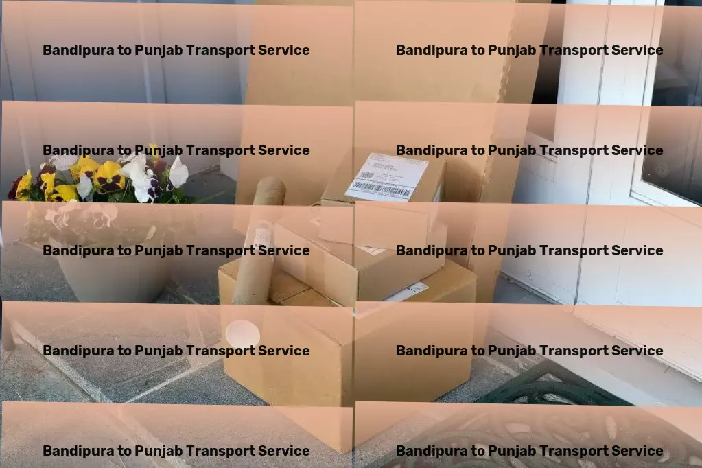 Bandipura to Punjab Transport Local freight shipment services