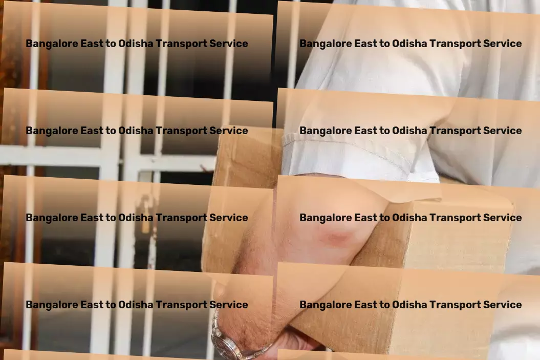 Bangalore East to Odisha Transport The expert touch you need for transporting goods across India! - Large-scale shipping services