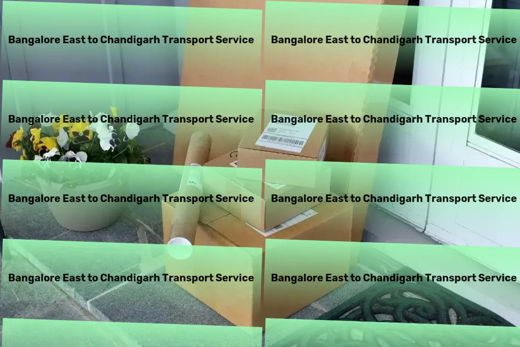 Bangalore East to Chandigarh Transport Express furniture transport