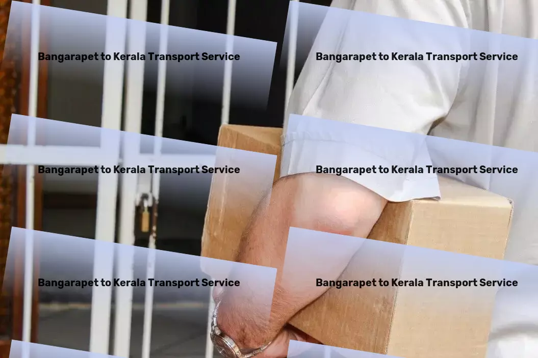 Bangarapet to Kerala Transport Cargo freight