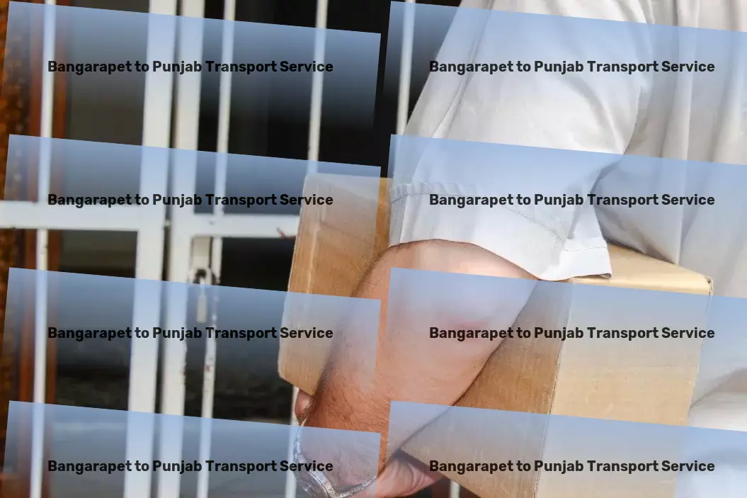 Bangarapet to Punjab Transport Comprehensive packer services