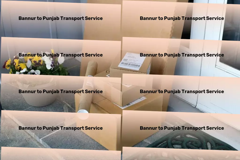 Bannur to Punjab Transport Efficient package logistics