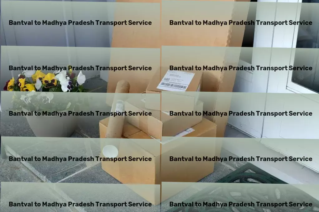 Bantval to Madhya Pradesh Transport Multi-state freight forwarding