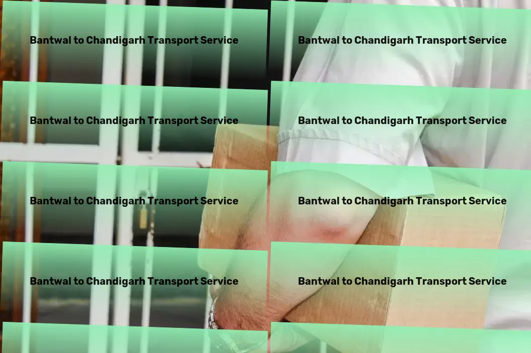 Bantwal to Chandigarh Transport Your goods, our responsibility - Transport with trust in India! - Fast goods shipment solutions