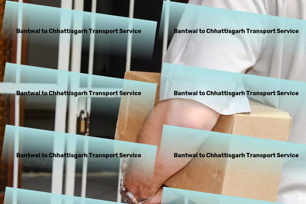 Bantwal to Chhattisgarh Transport Bridging distances within India with professional transport services! - Standard courier services