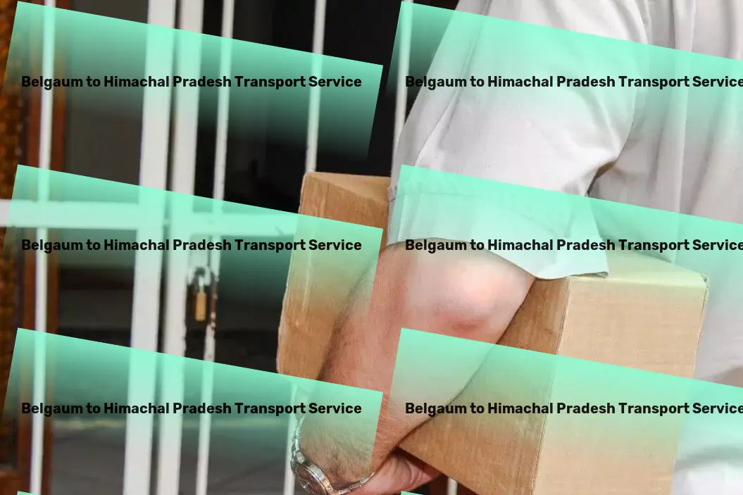 Belgaum to Himachal Pradesh Transport Express logistics services