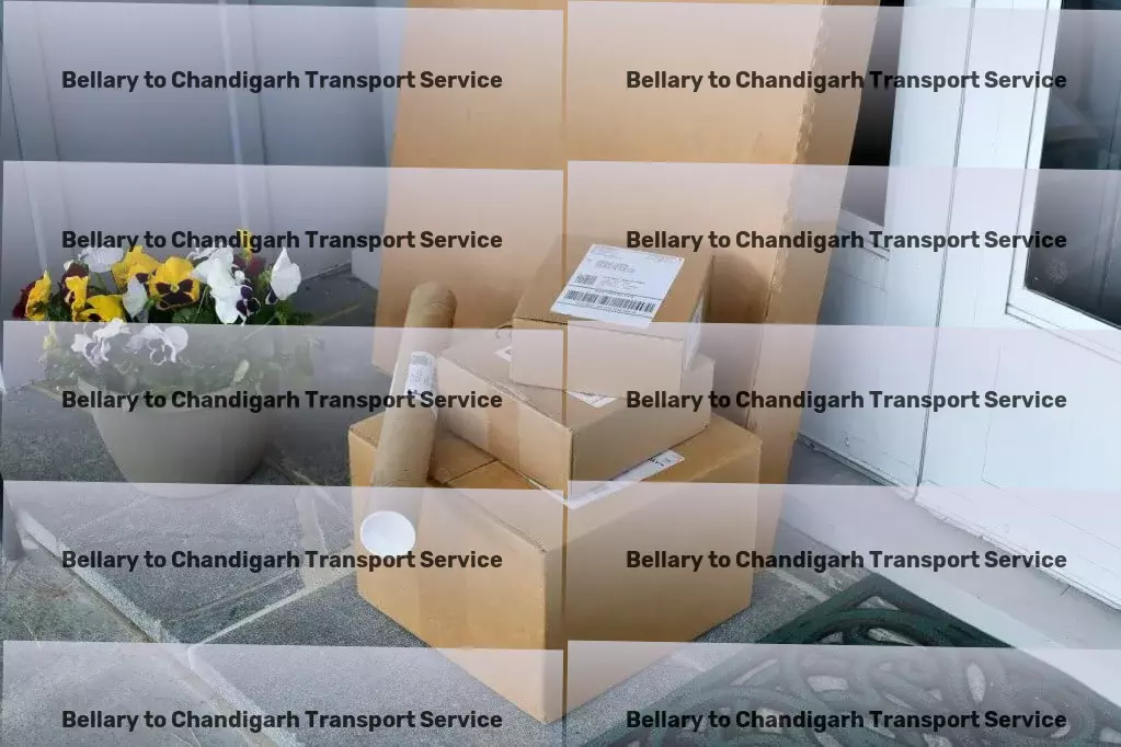 Bellary to Chandigarh Transport Fast package logistics