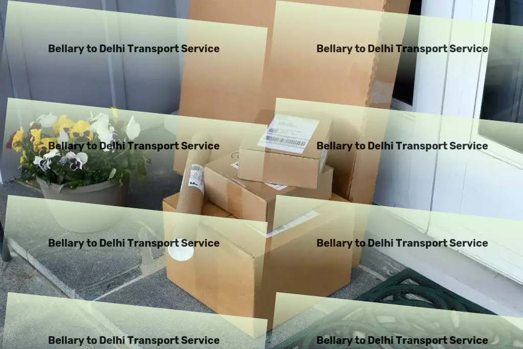 Bellary to Delhi Transport Integrated supply chain services