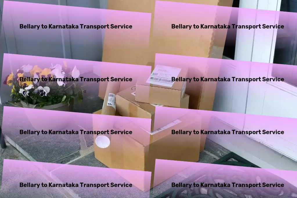 Bellary to Karnataka Transport Multi-region transport services