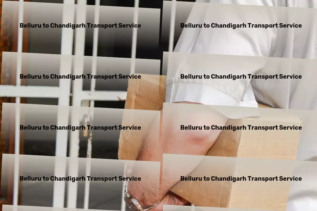 Belluru to Chandigarh Transport Customized courier services