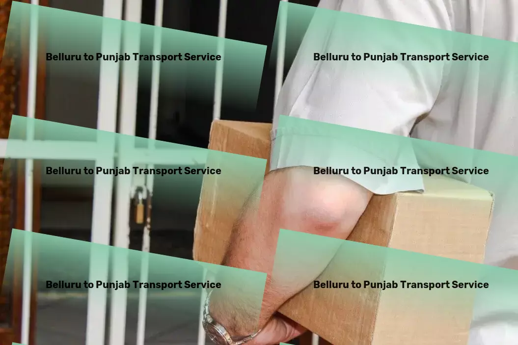 Belluru to Punjab Transport Expedited courier solutions