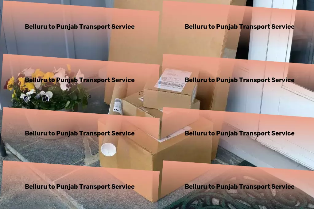 Belluru to Punjab Transport High-capacity freight logistics