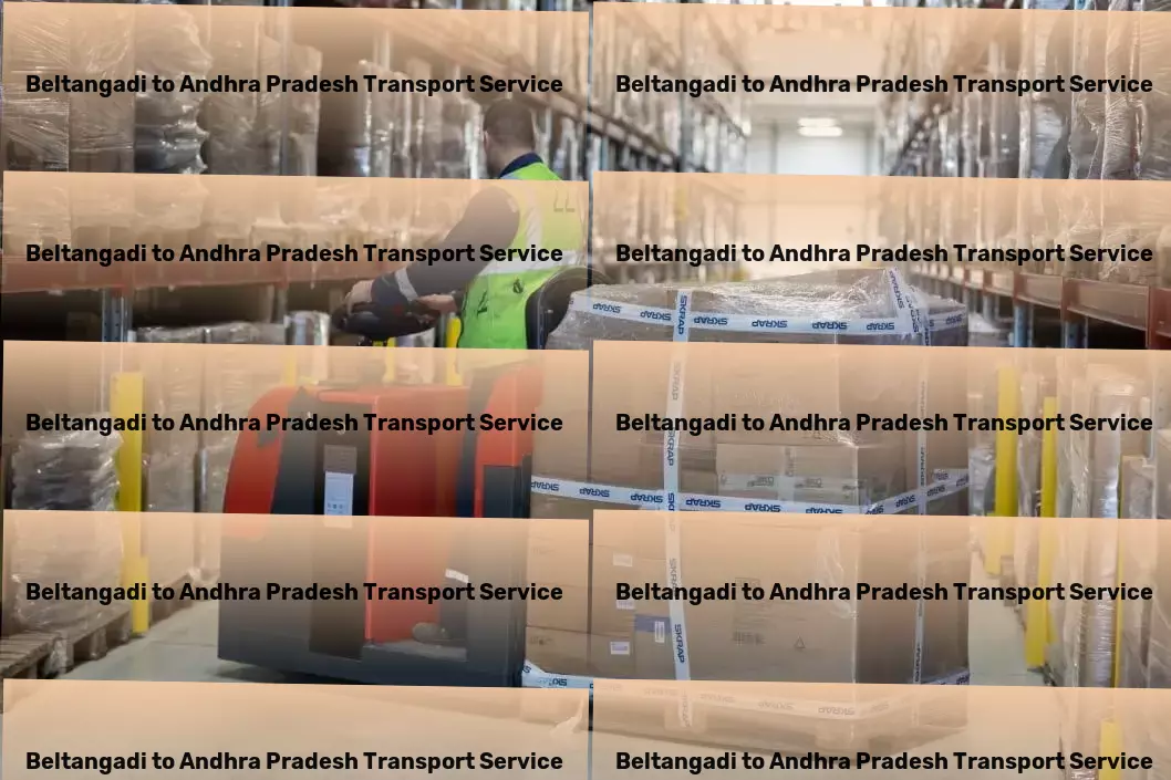 Beltangadi to Andhra Pradesh Transport Express freight and transport