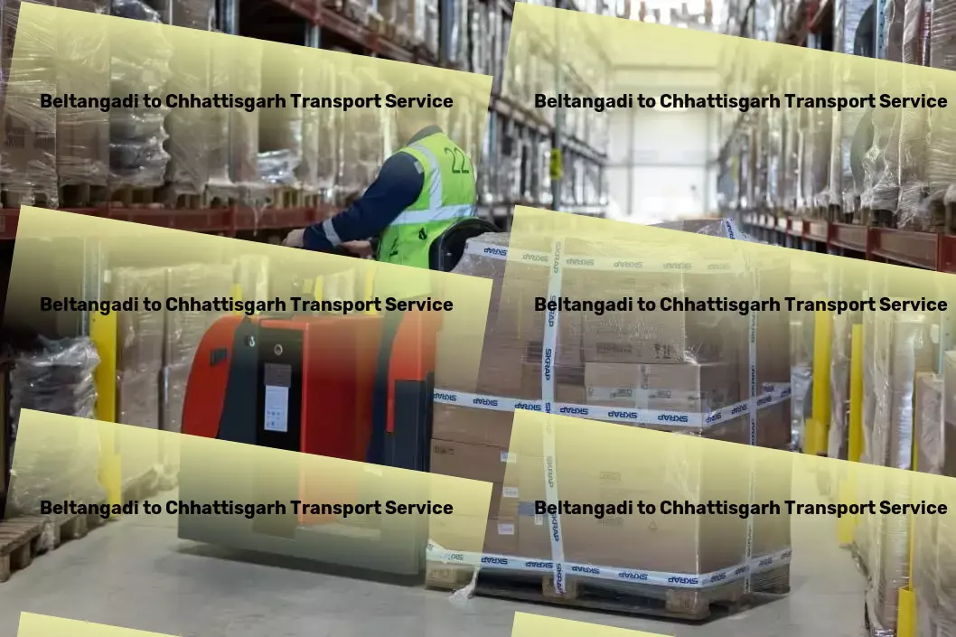 Beltangadi to Chhattisgarh Transport Inter-state trucking solutions