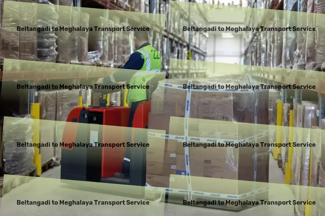 Beltangadi to Meghalaya Transport Urban package delivery