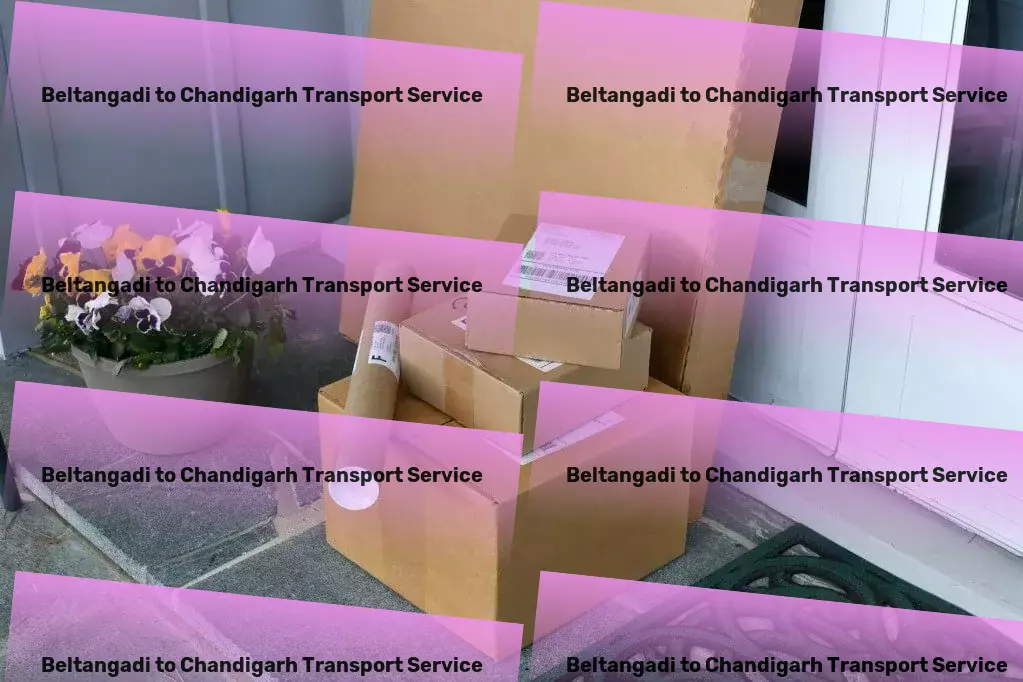 Beltangadi to Chandigarh Transport Specialized transport and shipment