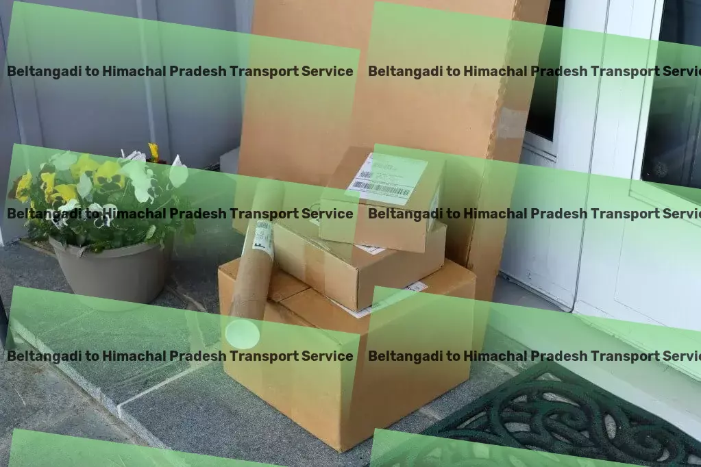 Beltangadi to Himachal Pradesh Transport Customized cargo solutions