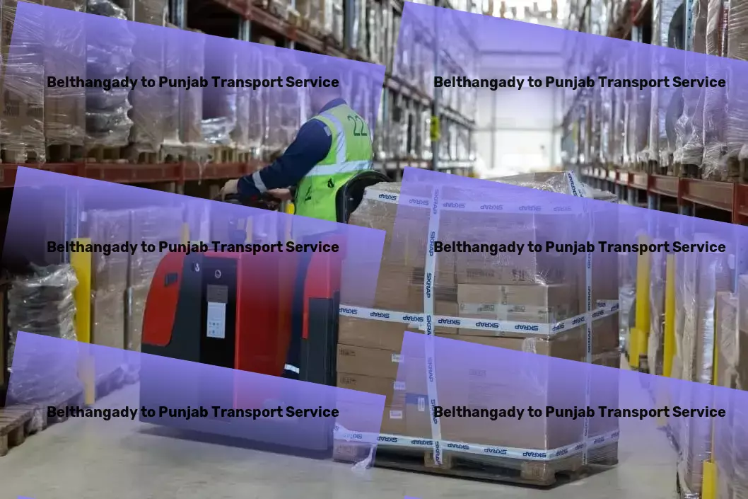 Belthangady to Punjab Transport Citywide goods logistics