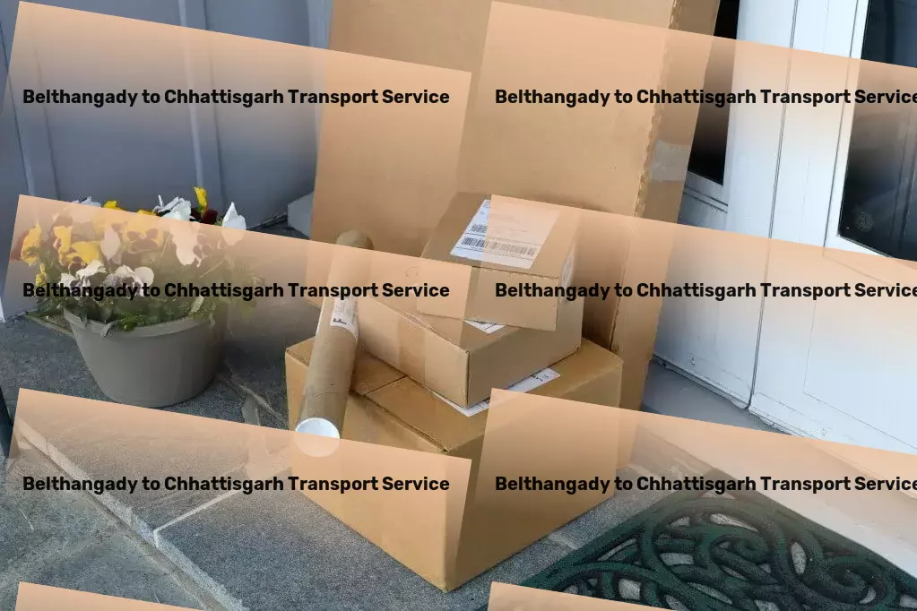 Belthangady to Chhattisgarh Transport Heavy load logistics services